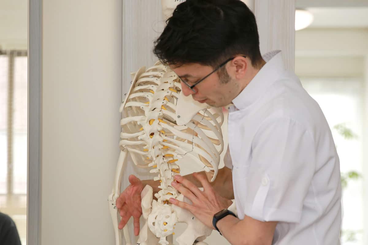 骨格模型を用いて施術の説明をする施術者